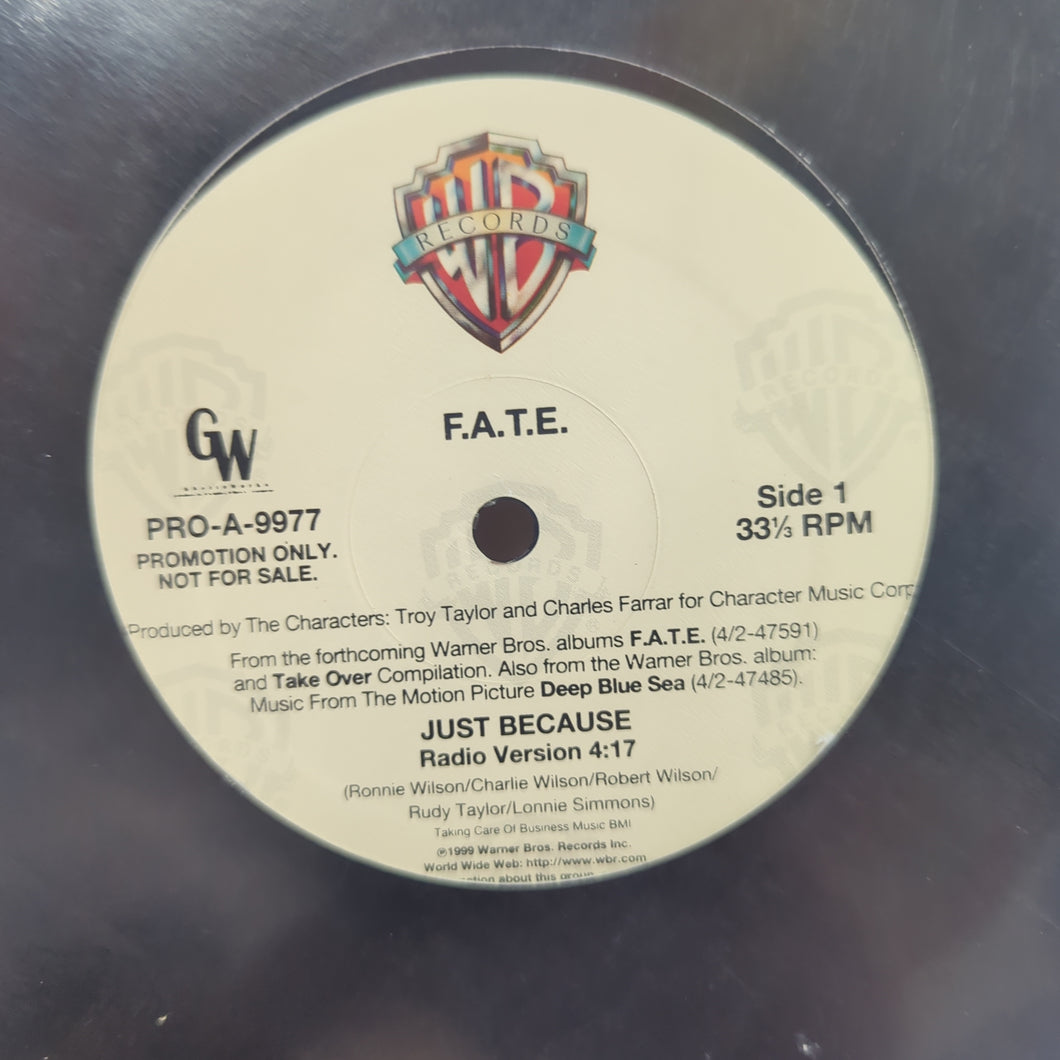 F.A.T.E. - Just Because (12