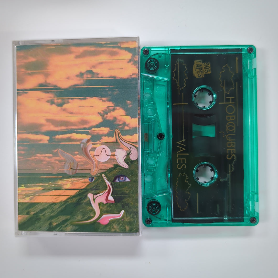 Hobo Cubes / Vales - 905 Tapes