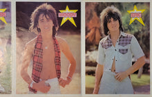 Load image into Gallery viewer, Bay City Rollers, The - Wouldn&#39;t You Like It ?
